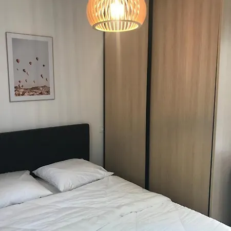 Maison 8 Personnes Bourg Vakantiehuis Biscarrosse