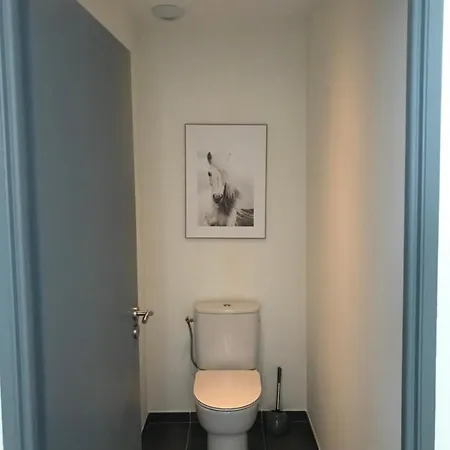 Maison 8 Personnes Bourg Ferienhaus Biscarrosse